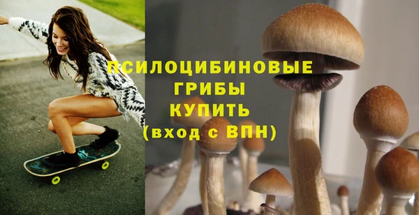 бошки Армянск