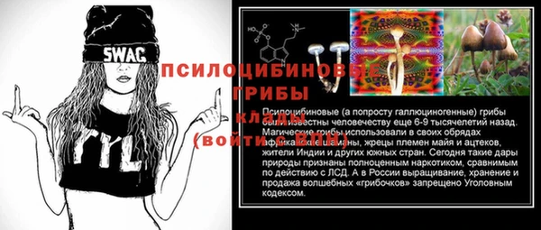бошки Армянск
