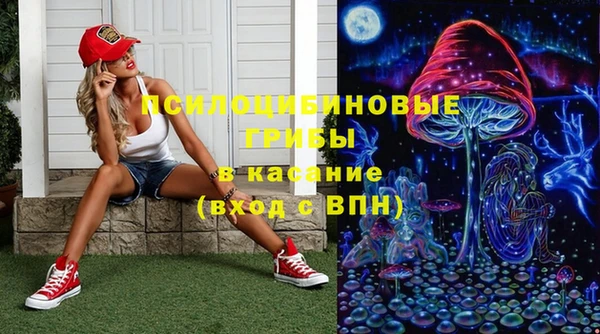 прущий лед Арсеньев